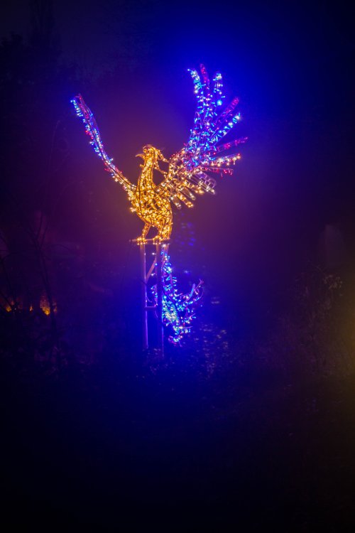Vogel auf der Lumagica
